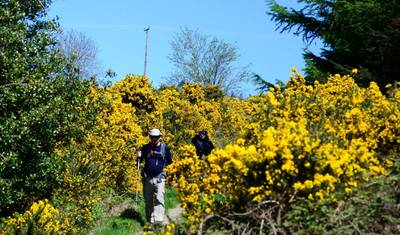Szlak Wicklow Way: Samodzielna wycieczka 5-dniowa — 5