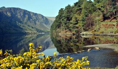 The Wicklow Way: Autoguiado de 10 Dias — 4