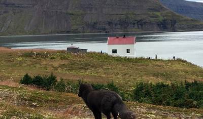 Alturas e Vistas de Hornvík — 4