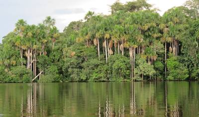 Aventura na Selva Amazônica de Iquitos 3D/2N — 2
