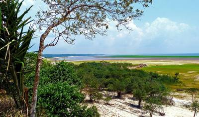 Aventura na Selva Amazônica de Iquitos 4D/3N — 2