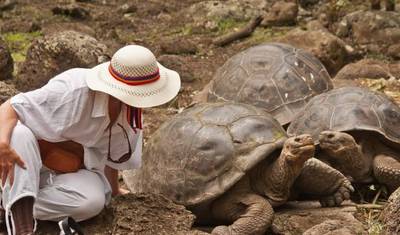 Encontros em Galápagos - 7 dias — 5