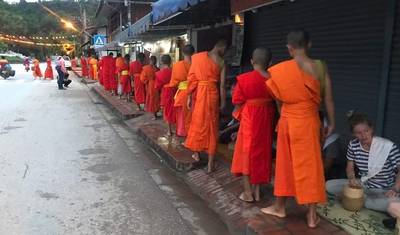 Norte do Laos: Conservação da Vida Selvagem, Permacultura e Prática de Meditação com Monges — 5