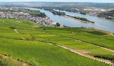 O Vale Romântico do Reno e a Holanda (7 destinos) — 3