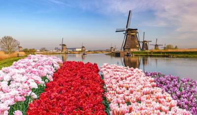 O Vale Romântico do Reno e a Holanda (7 destinos) — 4