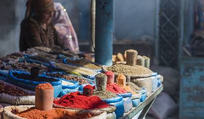 مستكشف آسيا الوسطى — 5