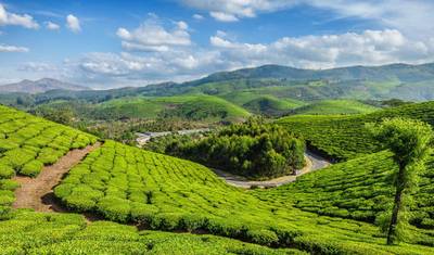 Kerala Cativante - 8 dias — 3