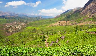 Munnar Plantação de Chá - 4 dias — 5