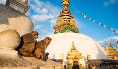 Estadia na Cidade de Kathmandu - 4 dias — 5