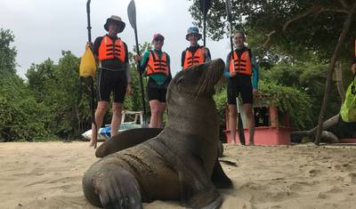 O Melhor de Galápagos — 5