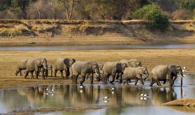 من Stone Town إلى Vic Falls — 2