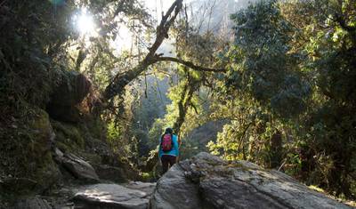 Odkrycie Annapurny — 5
