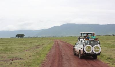 Cume do Kilimanjaro Marangu e Safári de Acampamento — 4