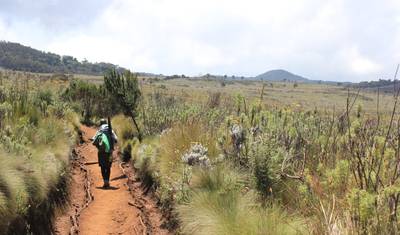 Kilimanjaro Marangu — 5