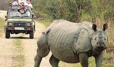 Maravilhas do Nordeste com Vida Selvagem em Kaziranga — 3