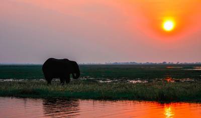 Cape Town to Victoria Falls - Hotel/Lodge — 2