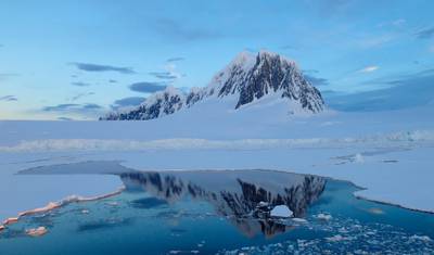 Antarctic Explorer: 第7大陸を発見 (Ultramarine), Quark運航 — 5