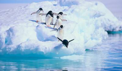 Península Antártica: Cruzando o Círculo, Operado por Quark — 2