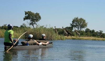 Safari em Lodge no Botsuana e Zimbábue — 4