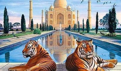 Wycieczka po Złotym Trójkącie w Indiach z Udaipur i safari z dziką fauną — 2