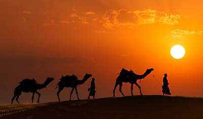 جولة رَاجَستان الملكية مع تاج محل — 5
