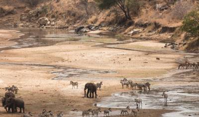 Safari Serengeti e Ngorongoro 4D/3N — 2