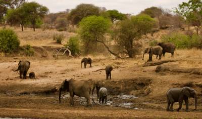 Safari Serengeti e Ngorongoro 4D/3N — 3