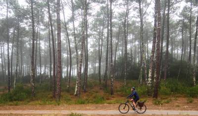 Cicloturismo do Porto a Coimbra - A Costa de Prata — 5