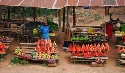 Nairobi a Harare (44 Dias) Macacos e Lagos — 2