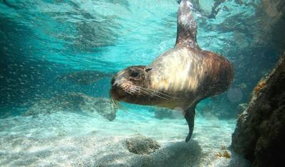 Peru e Galápagos: Explorador — 4