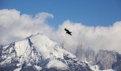 Torres del Paine - رحلة المسار الكامل — 4