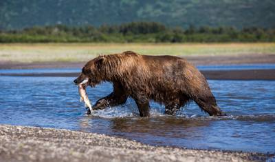 Journeys: Discover Alaska National Geographic — 4