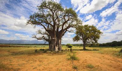 Jornadas: Descubra Kruger e a Namíbia National Geographic — 3