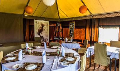 Serengeti Safari - (رحلة خاصة) — 2