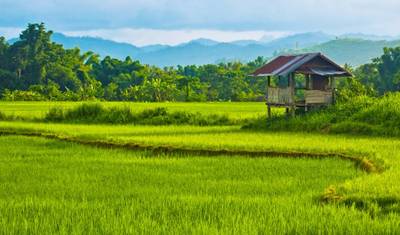 Destaques do Laos - 7 dias — 2