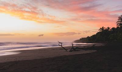 Aventura no Parque Nacional Tortuguero 4D/3N — 4