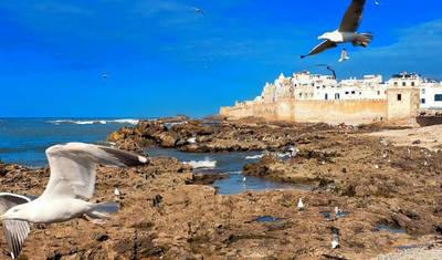 أفضل ما في المغرب - 13 يومًا — 5