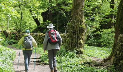 Excursão de Caminhada e Trilhas no Distrito dos Lagos e Yorkshire Dales. — 4