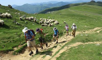 Camino de Santiago — 2