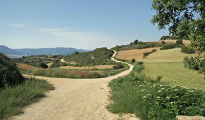 Camino de Santiago — 4