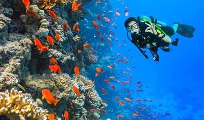 Mergulho no Mar Vermelho: 8 dias a partir de Amã — 4