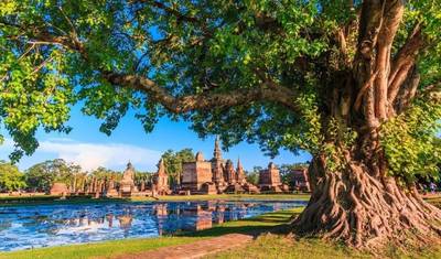 シアムのトレイルと秘宝 小グループツアー — 5