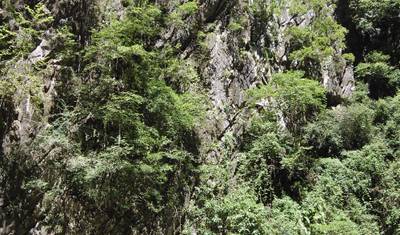 De Andamão ao Golfo, Excursão em Grupo Pequeno — 4