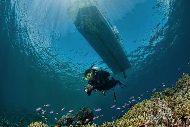 10 Best Papua New Guinea Tours & Trips 2022/2023 - TourRadar