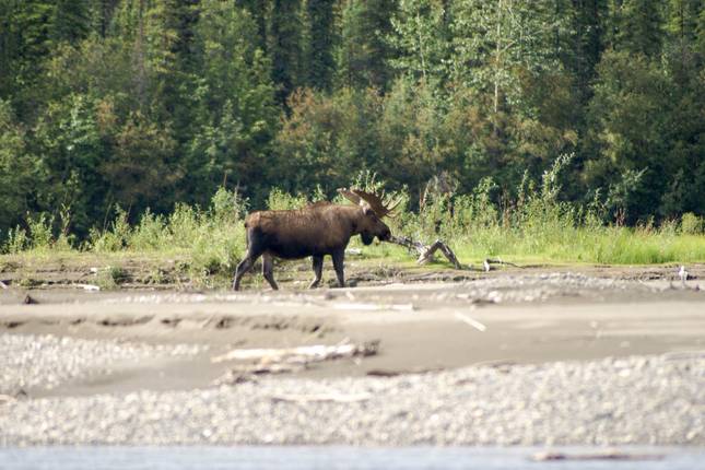 Beaver River: Explore Secret Waterways