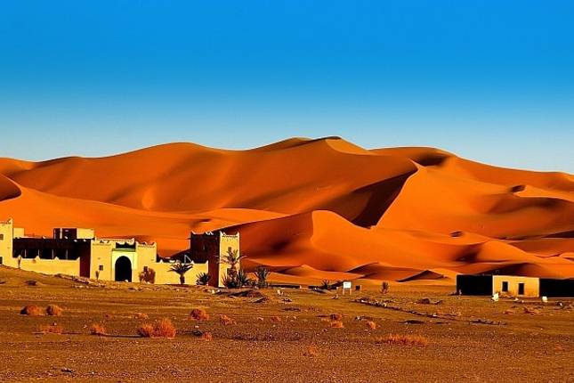 Morocco Sahara Camel Caravan Expedition