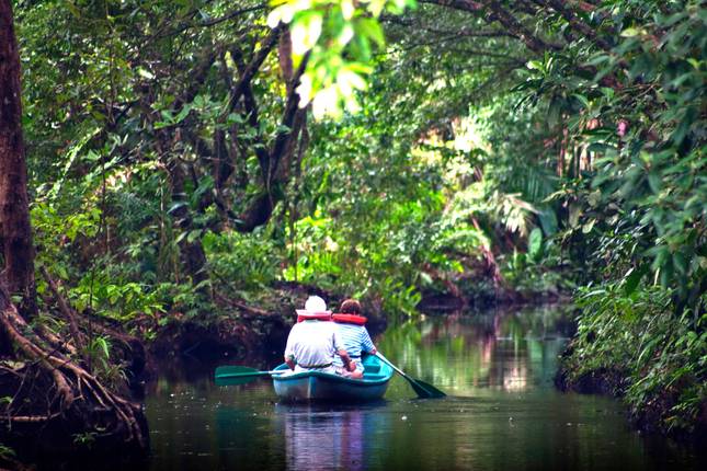 Tortuguero: un paraíso natural en Costa Rica