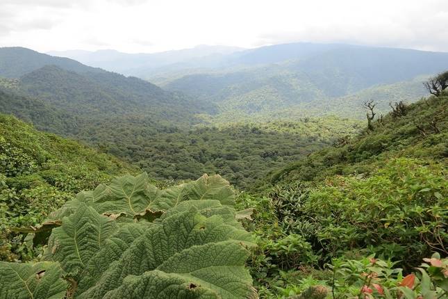 Egzotyczne Costa Rica