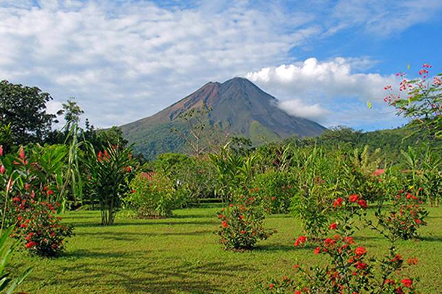 Tropical Costa Rica  (San Jose to Guanacaste) (2025)