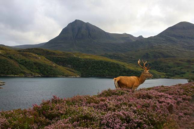 Visit Highland: 2024 Travel Guide for Highland, Scotland